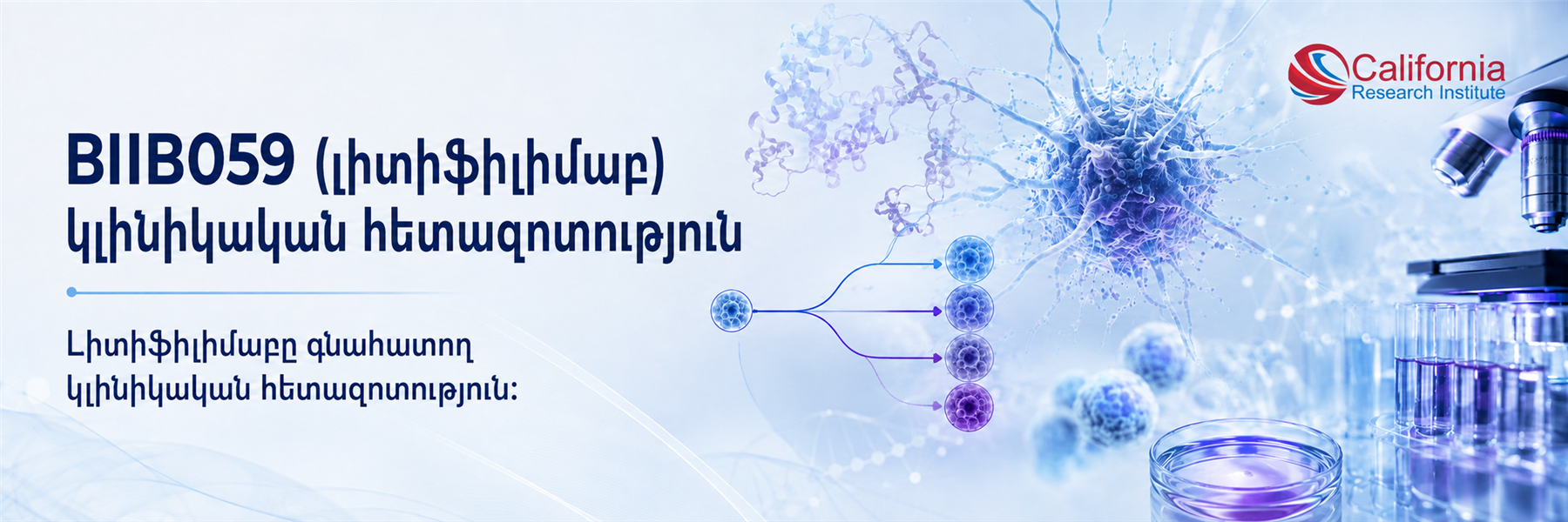 Լիտիֆիլիմաբ BIIB059-ի համակարգային կարմիր գայլախտի հետազոտություն