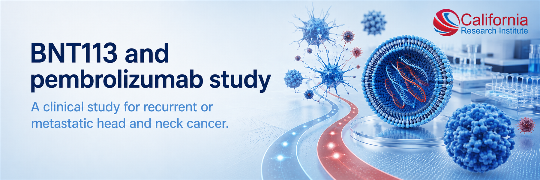 BNT113 and Pembrolizumab Head and Neck Cancer Study